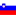 Slovenian Flag